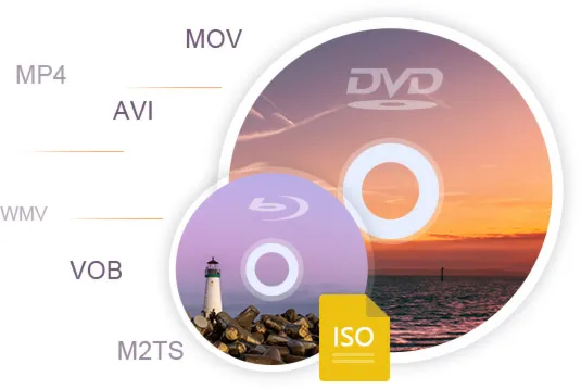 Vidmore DVD Creator лицензия ключ, код активации - irongamers.ru