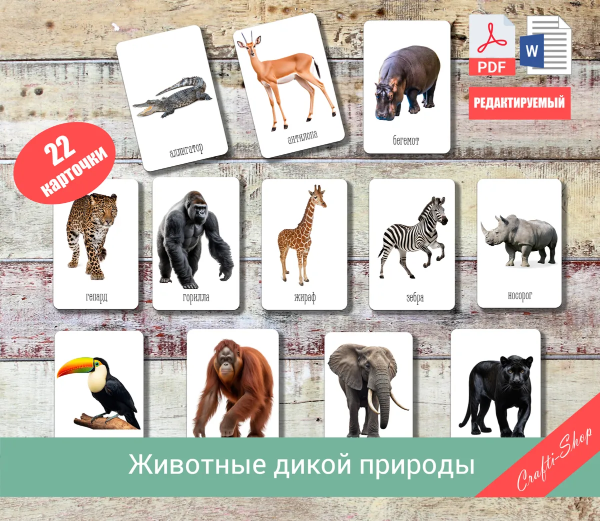 Флеш-карты "Животные дикой природы"
