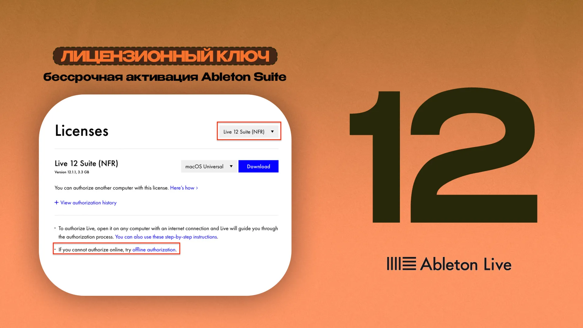 Ableton Live 12 Suite [НАВСЕГДА] для macOS и Windows - irongamers.ru