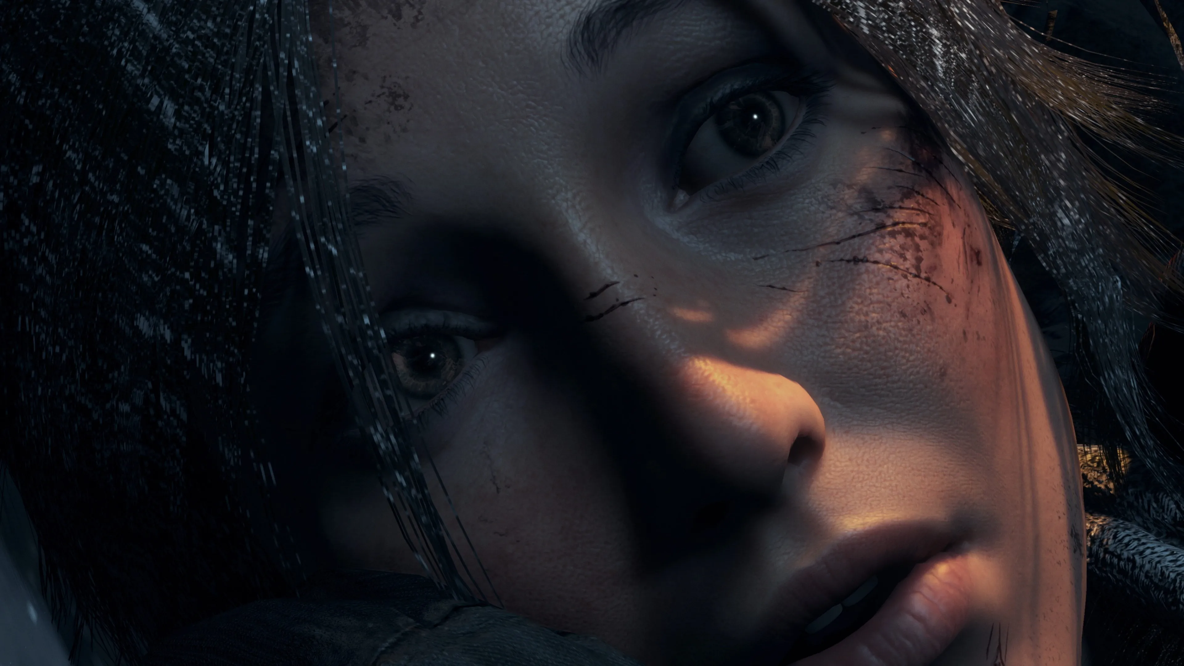 АРЕНДА Rise of the Tomb Raider 20 Year Celebration [Xbox One & Series] Личный Аккаунт