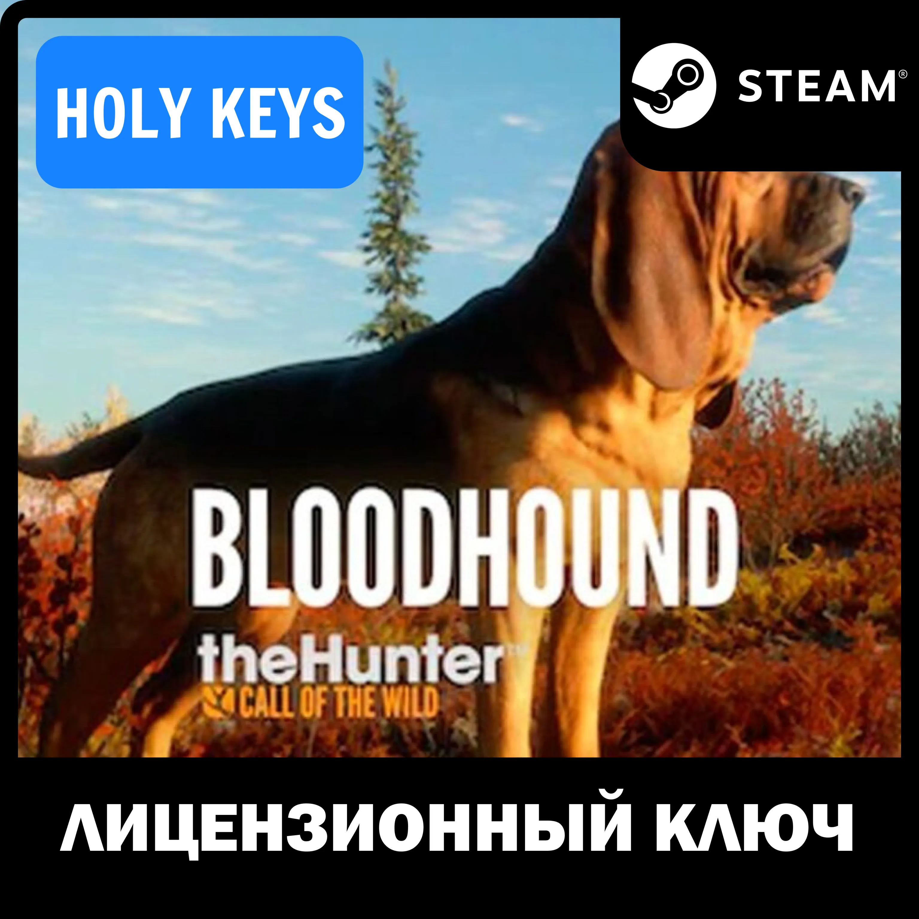 theHunter Call of the Wild - Bloodhound Steam Ключ+ - irongamers.ru