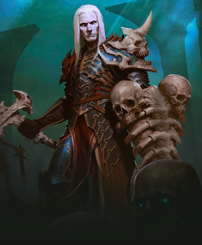💥 Diablo III: Rise of the Necromancer BNET Подарок💥 