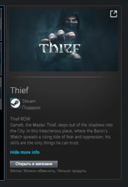 Thief STEAM GIFT Россия + МИР + ВСЕ СТРАНЫ