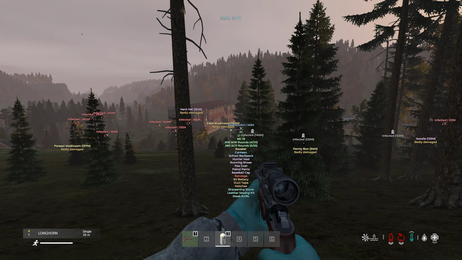 Купить чит Medusa Lite для игры DayZ с Wallhack, ESP - irongamers.ru