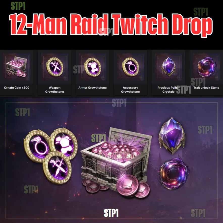 Throne and Liberty 6 items🎁 12-Man Raid Twitch Drop