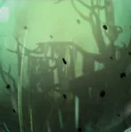 ПОГОДА  Weather Pestilence ОТПРАВКА ТРЕЙДОМ