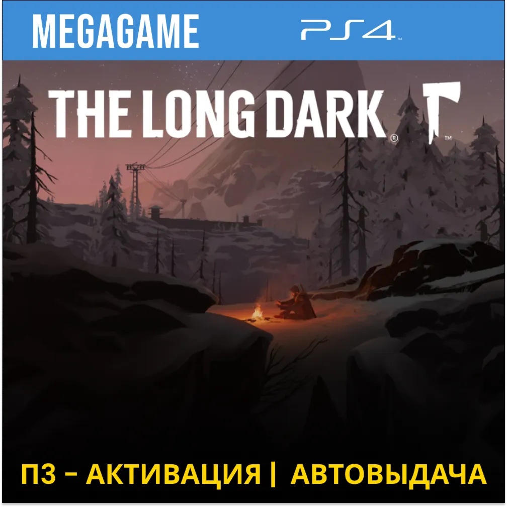 The Long Dark (PS4/RUS) П3 Активация