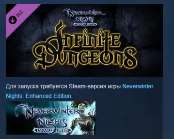 Neverwinter Nights: Infinite Dungeons STEAM GIFT РОССИЯ - irongamers.ru