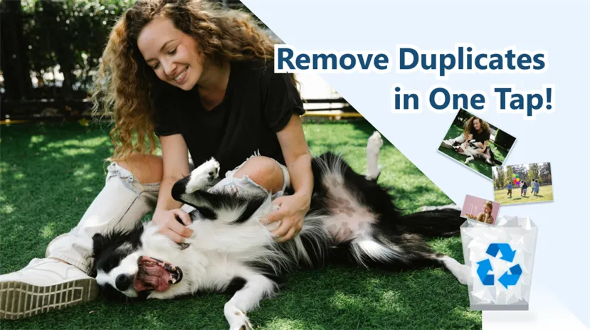 Duplicate Cleaner! PRO Microsoft Store ПК Windows