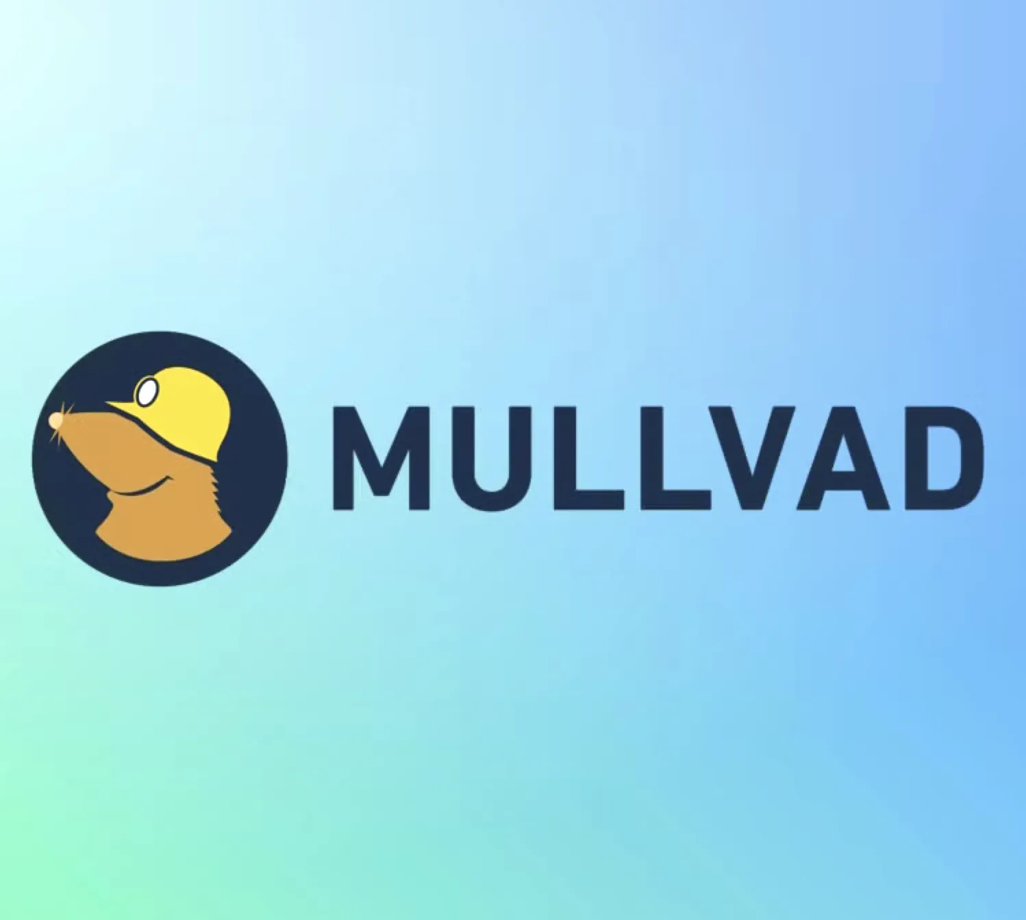 MULLVAD МУЛЛВАД Аккаунт 1 месяц - irongamers.ru