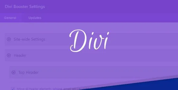 DIVI BOOSTER - оптимизатор DIVI BUILDER для WORDPRESS