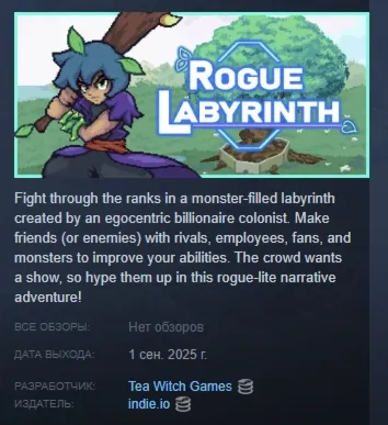 Rogue Labyrinth АВТОДОСТАВКА STEAM GLOBAL МГНОВЕННО ЛИЦЕНЗИЯ