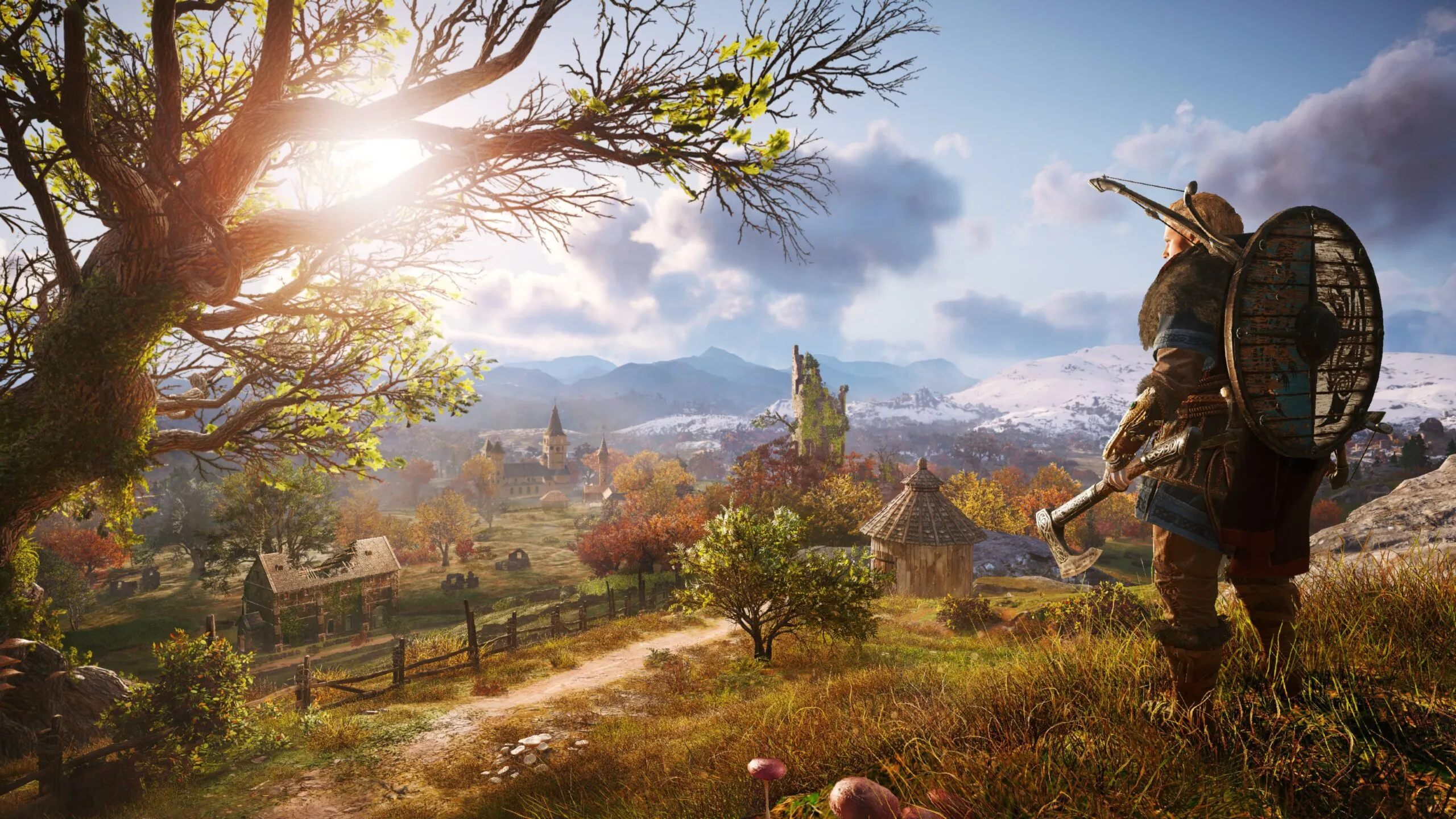 Assassins Creed Valhalla PS4/PS5 | П2/П3