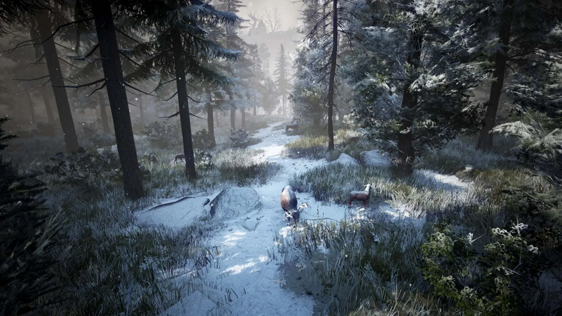 Black Desert PS5 | П2/П3