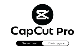CapCut Pro – 1 месяц личного аккаунта | Быстрая доставк - irongamers.ru