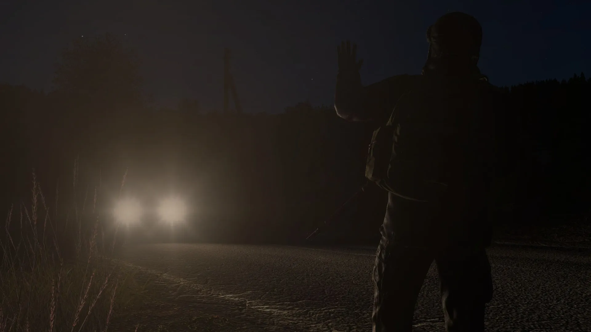 DayZ PS4/PS5 | П2/П3