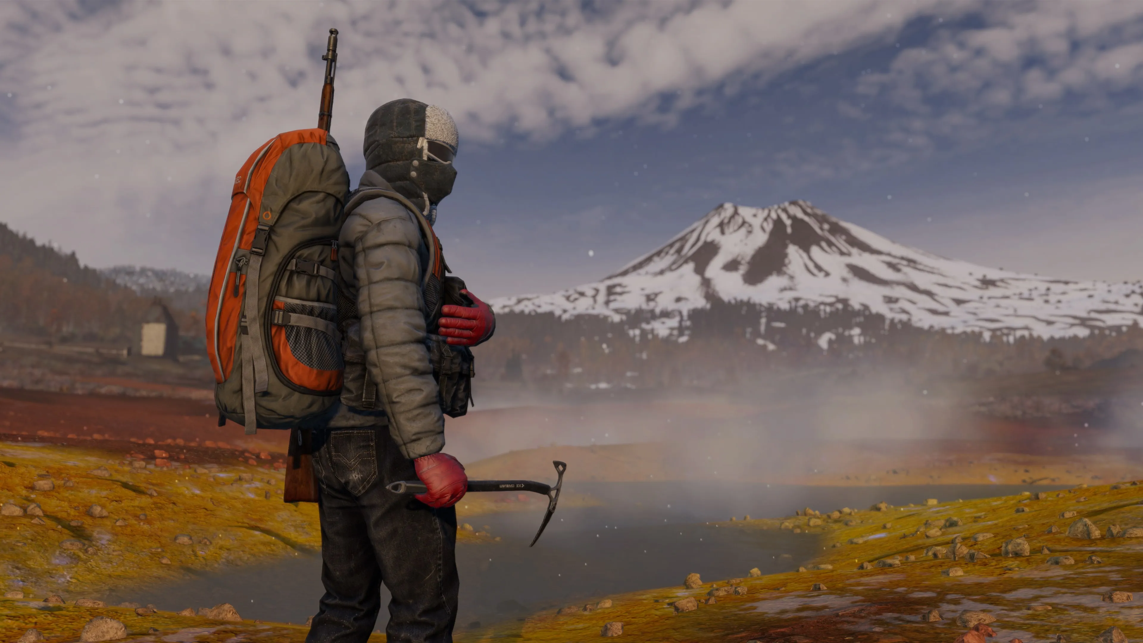 DayZ Frostline DLC PS4/PS5 | П3
