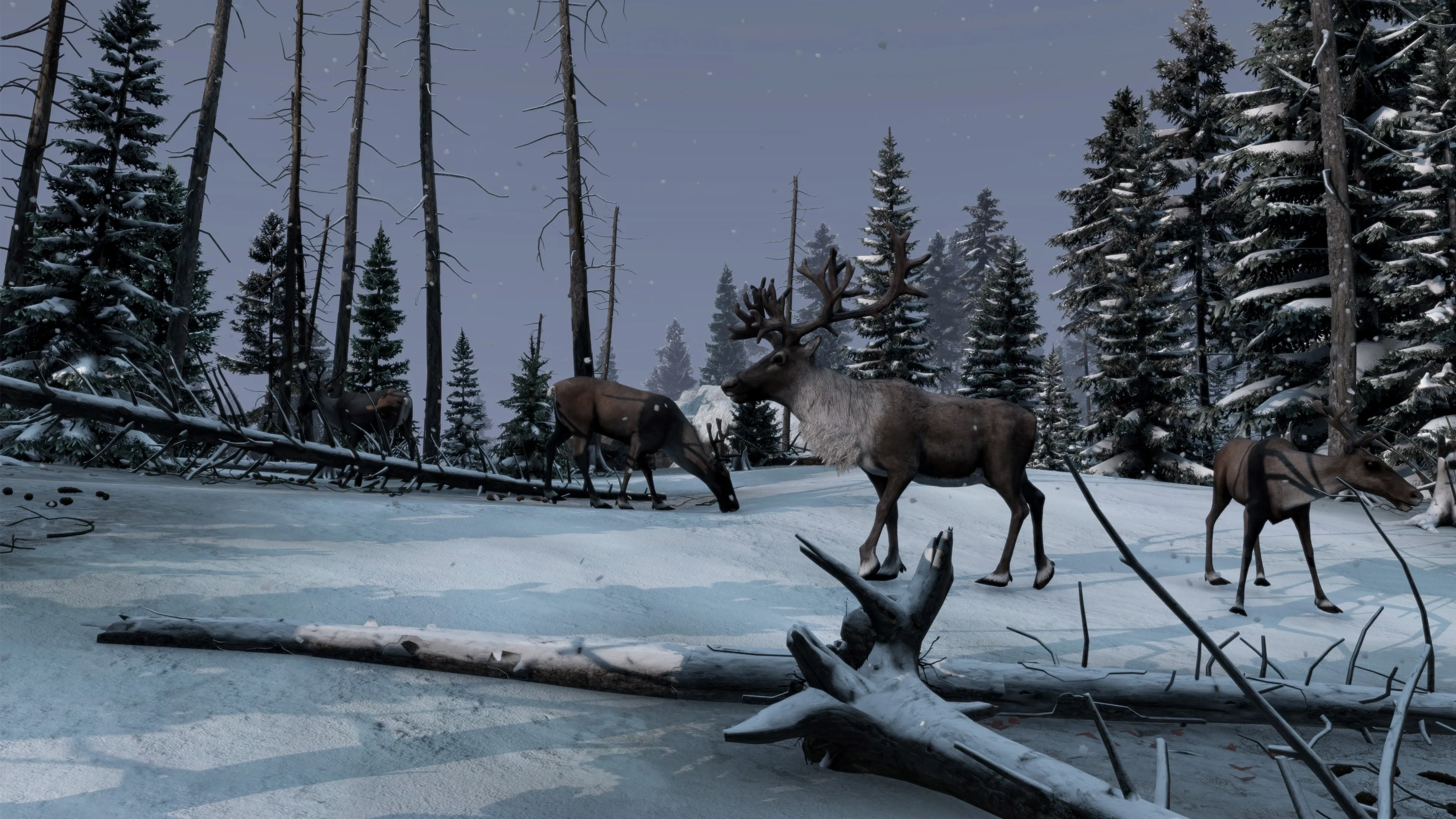 DayZ Frostline DLC PS4/PS5 | П3