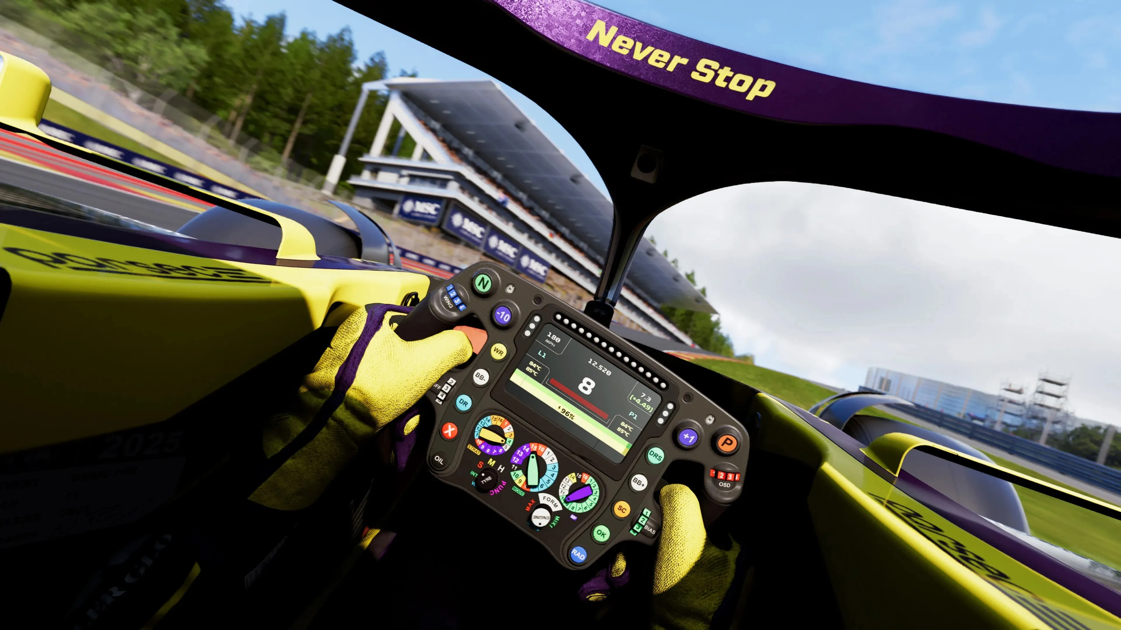 F1 25 PS5 | П2/П3