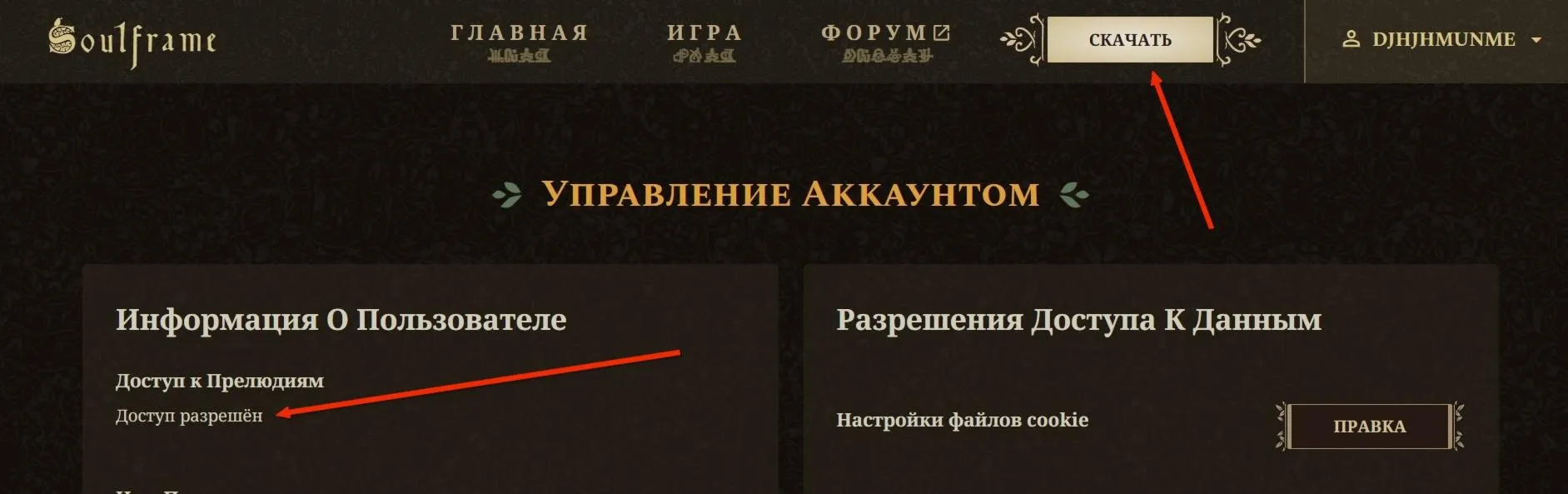 Аккаунт Soulframe Preludes (ЗБТ) бета тест, пк,+ почта - irongamers.ru
