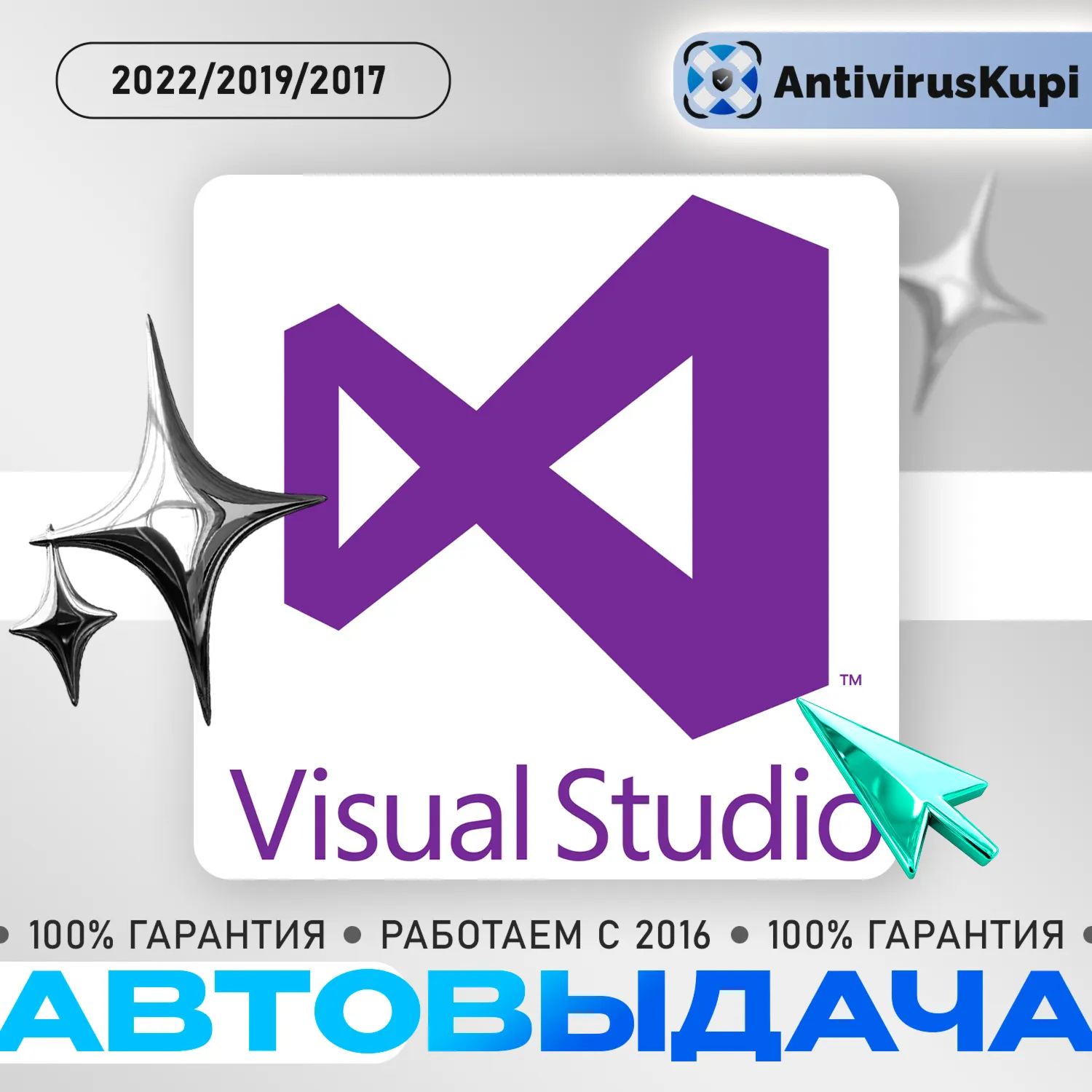 Visual Studio Professional 2026/2022/2019/2017