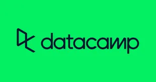 DataCamp Learn Shared Account 1 месяца 丨 гарантия - irongamers.ru