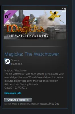 Magicka: The Watchtower STEAM GIFT Россия ВСЕ СТРАНЫ