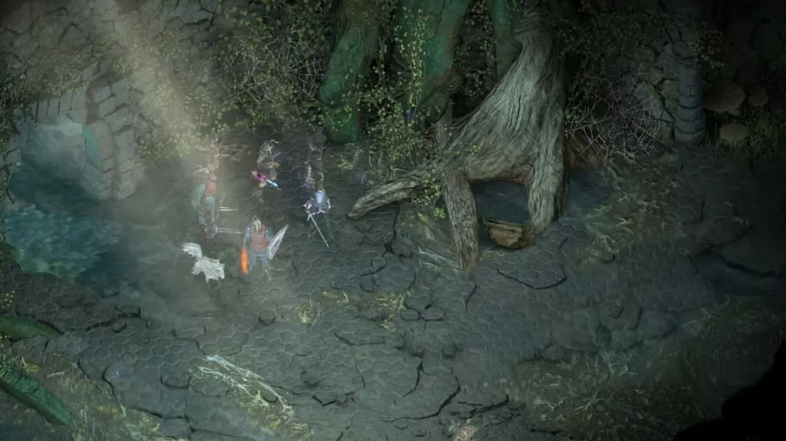 Pillars of Eternity: Complete Edition | Nintendo Switch 1/2