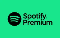 Spotify Подарочная карта США 1-3-6-12 месяцев - irongamers.ru