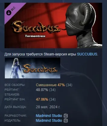 Succubus - Tormentress DLC STEAM РОССИЯ - irongamers.ru