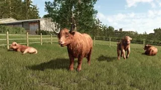 Farming Simulator 25 Highlands Fishing Edition XBOX KEY