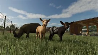 Farming Simulator 25 Highlands Fishing Edition XBOX KEY