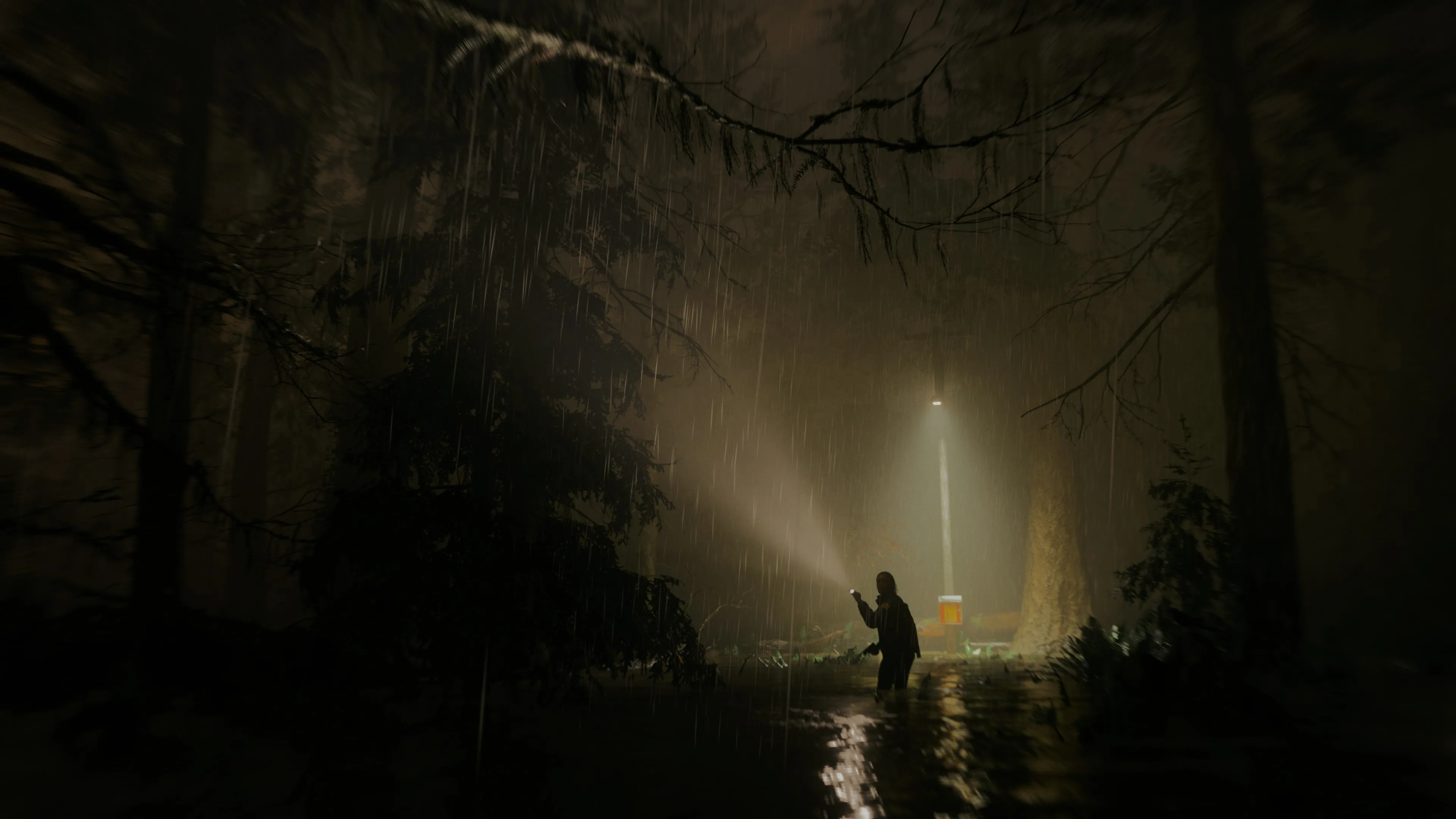 ALAN WAKE 2 XBOX SERIES X|S КЛЮЧ USA ЛИЦЕНЗИЯ - irongamers.ru