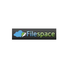 Премиум-аккаунт FILESPACE 18 ЧАСОВ 15 ГБ - irongamers.ru