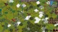 1953: NATO vs Warsaw Pact (STEAM KEY/REGION FREE) - irongamers.ru