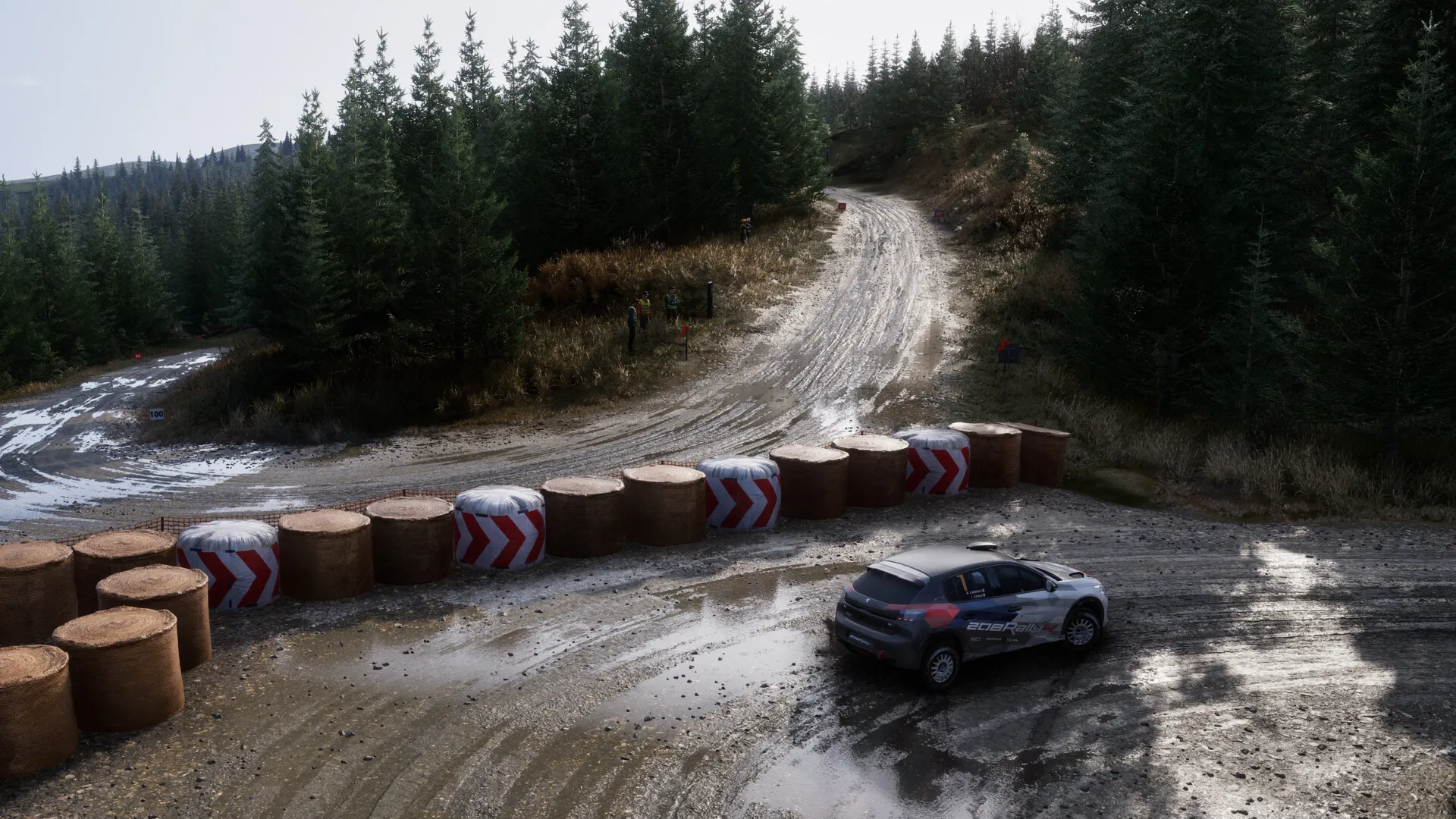 Assetto Corsa Rally | Steam | АВТОВЫДАЧА 24/7
