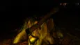 Magdalena (STEAM KEY/REGION FREE)