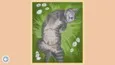 Cute Cats (STEAM KEY/REGION FREE) - irongamers.ru