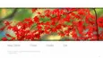 Autumn (STEAM KEY/REGION FREE)