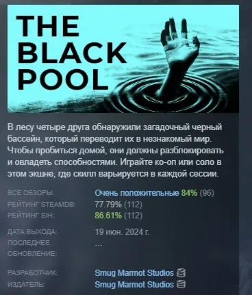 The Black Pool АВТОДОСТАВКА STEAM GLOBAL МГНОВЕННО ЛИЦЕНЗИЯ