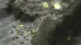 World War III: Black Gold (STEAM KEY/REGION FREE)