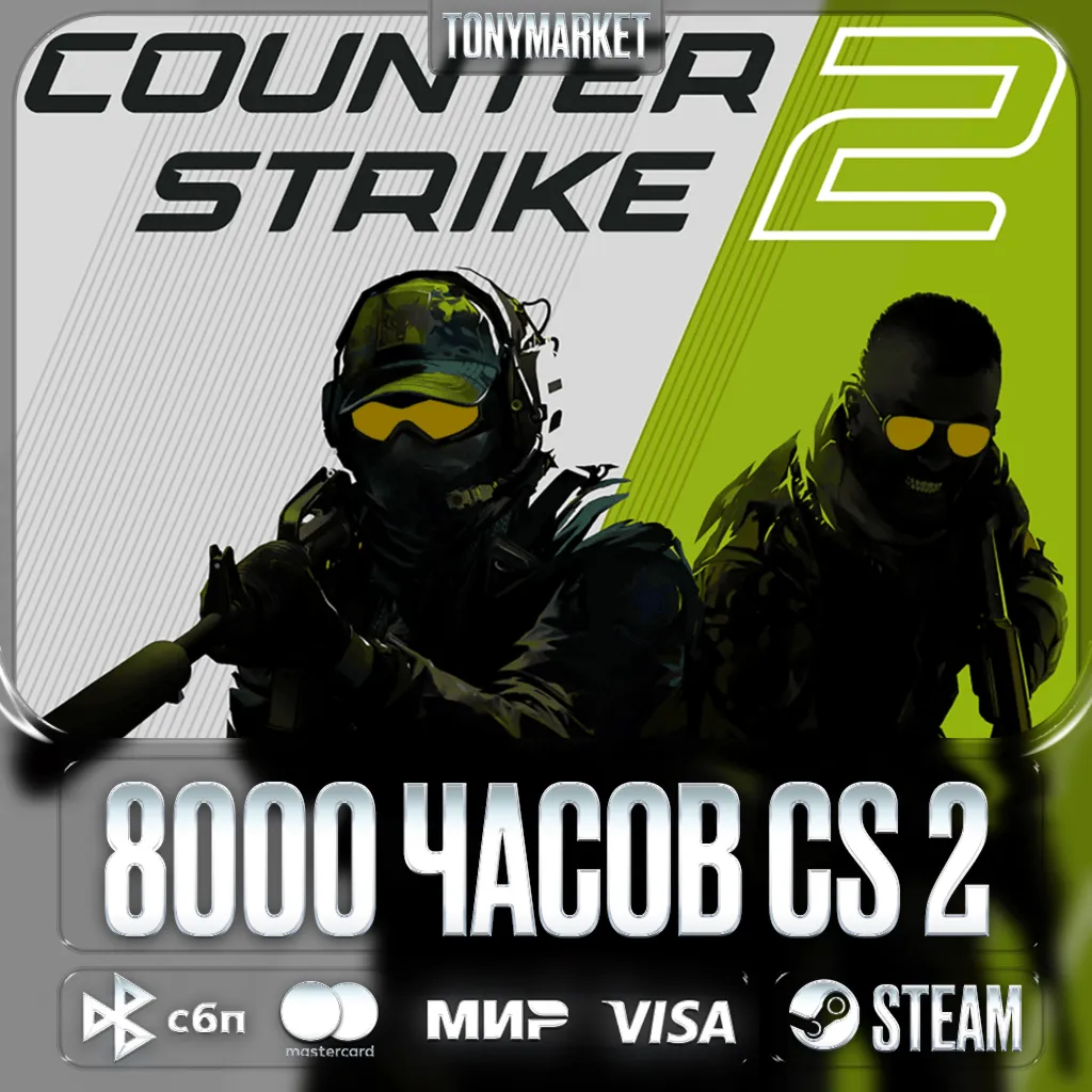 8000 ЧАСОВ • Counter Strike 2 • Родная почта • - irongamers.ru