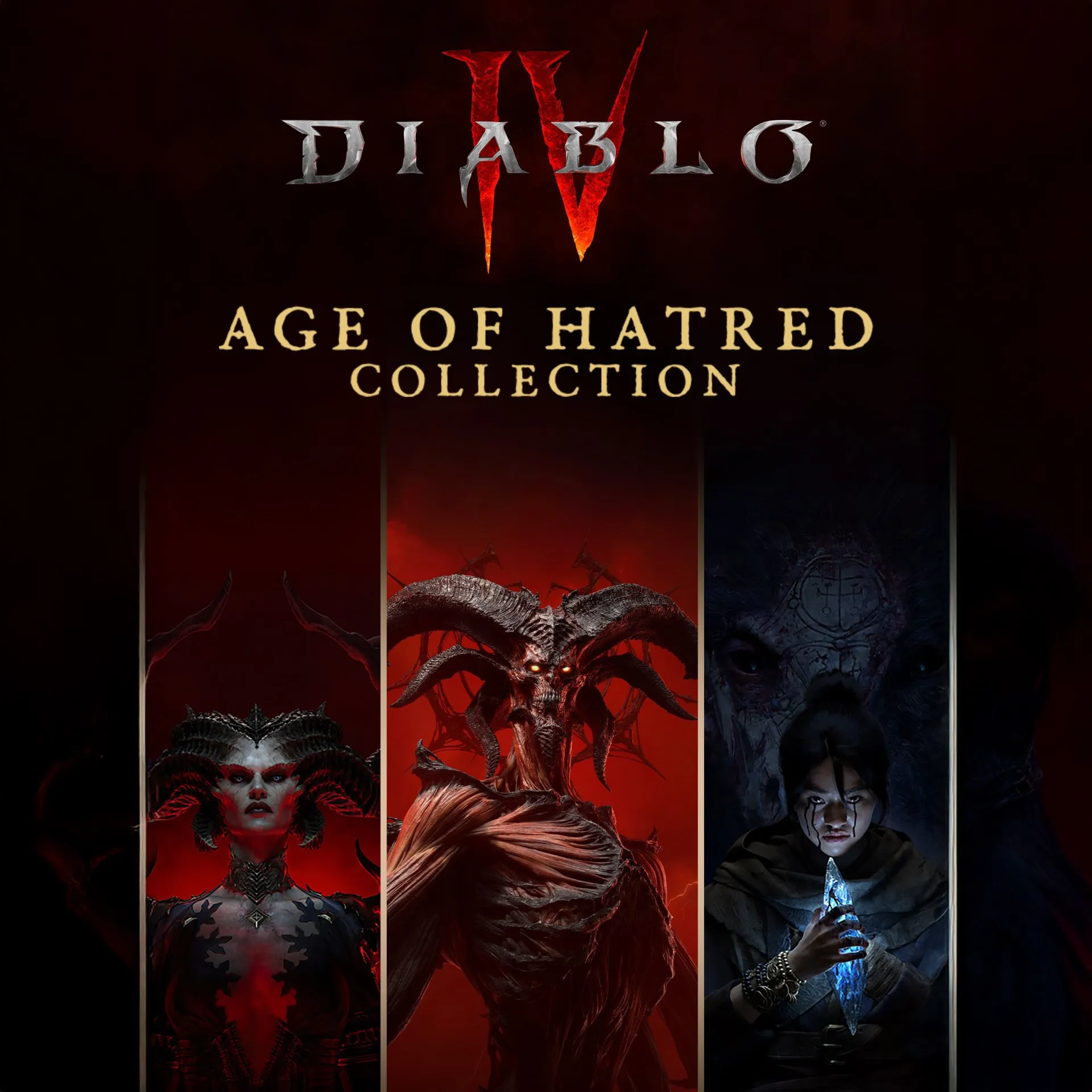 Diablo 4 Standard / Lord of Hatred (BATTLENET)