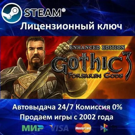 Gothic 3 Forsaken Gods Enhanced Edition Steam⭐Ключ Активации РФ+СНГ+МИР АКЦИЯ - irongamers.ru