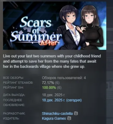 Scars of Summer: After АВТОДОСТАВКА STEAM GLOBAL МГНОВЕННО ЛИЦЕНЗИЯ