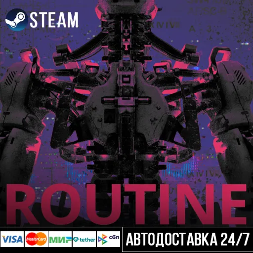 ROUTINE СТИМ Steam Gift
