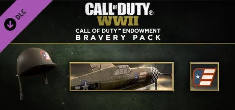 Call of Duty:WWII - Call of Duty Endowment Bravery Pack (DLC)✅ Region free❗ Steam Key🚀 