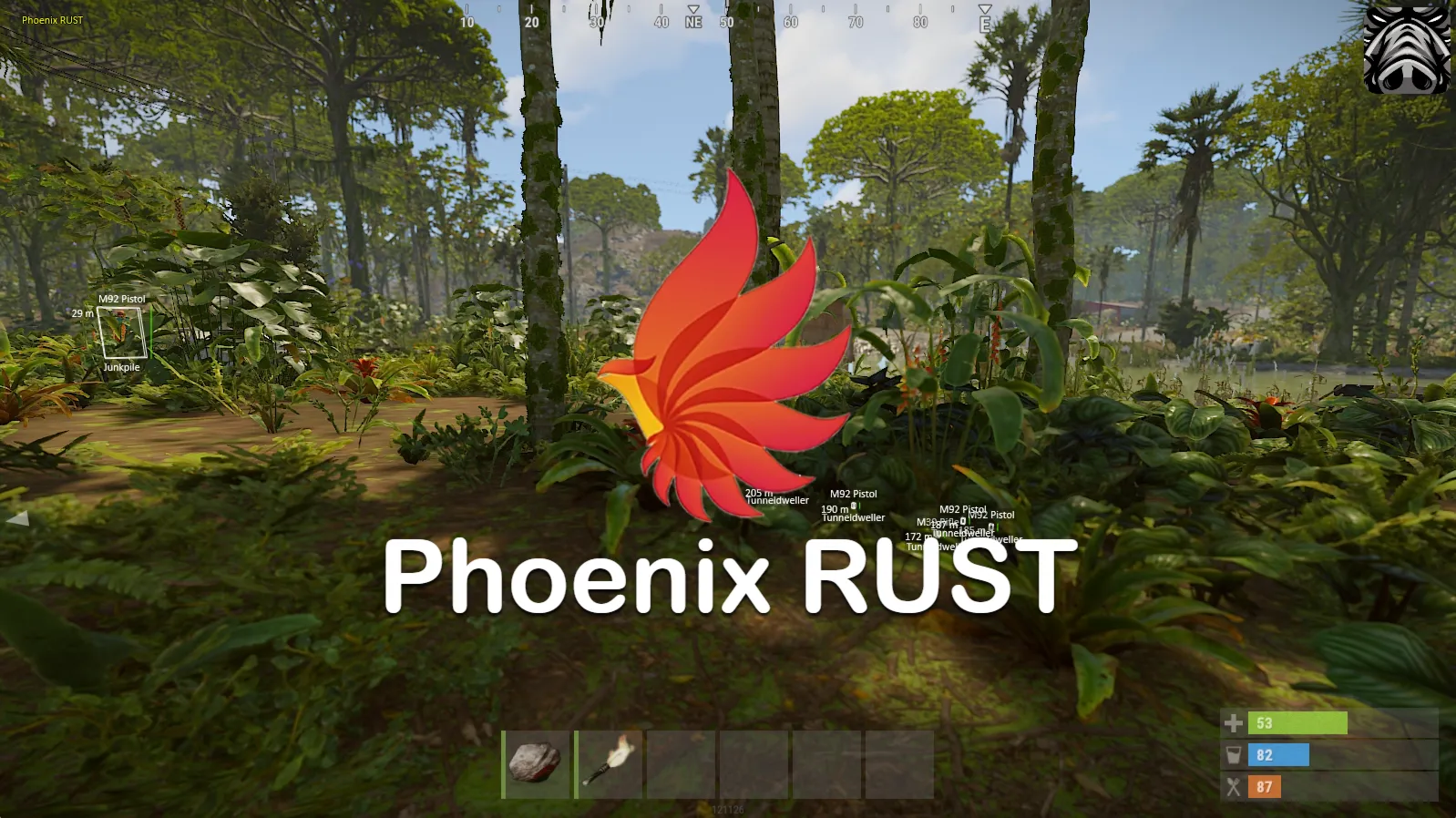 Phoenix RUST