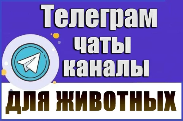 4600 Телеграм каналов и чатов "Всё для животных" 2026 г