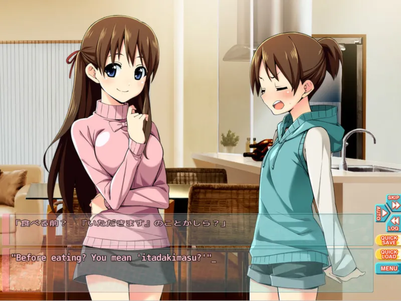 Go! Go! Nippon! ~My First Trip to Japan~ (Steam key / РФ+Весь Мир)